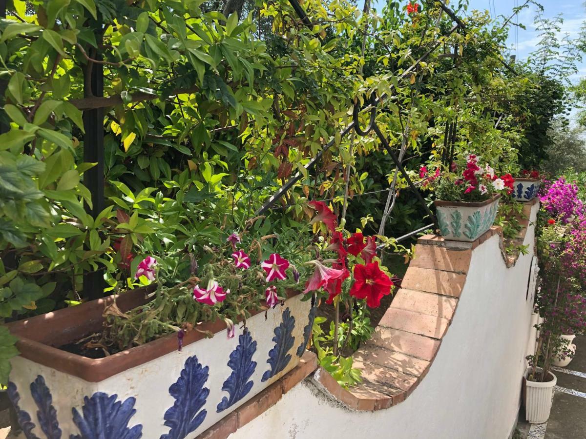 Hotel Casa Sofia à Anacapri  Extérieur photo